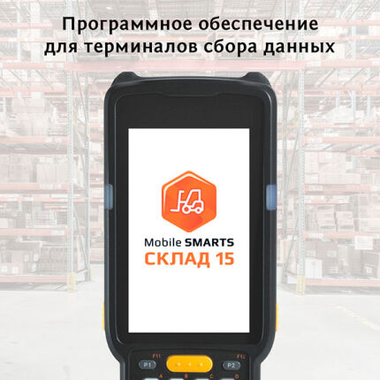 Mobile SMARTS